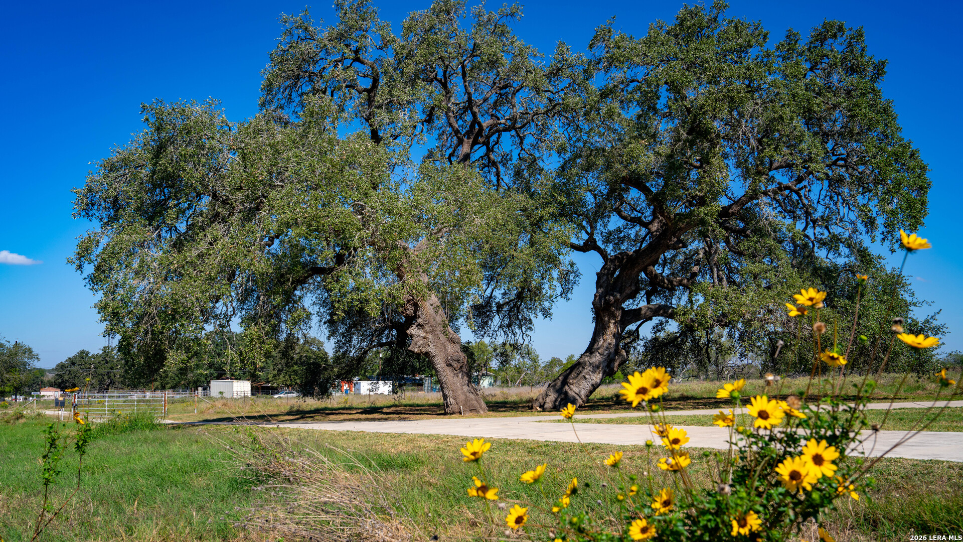 377 Us Highway 181 S, Floresville, TX 78114