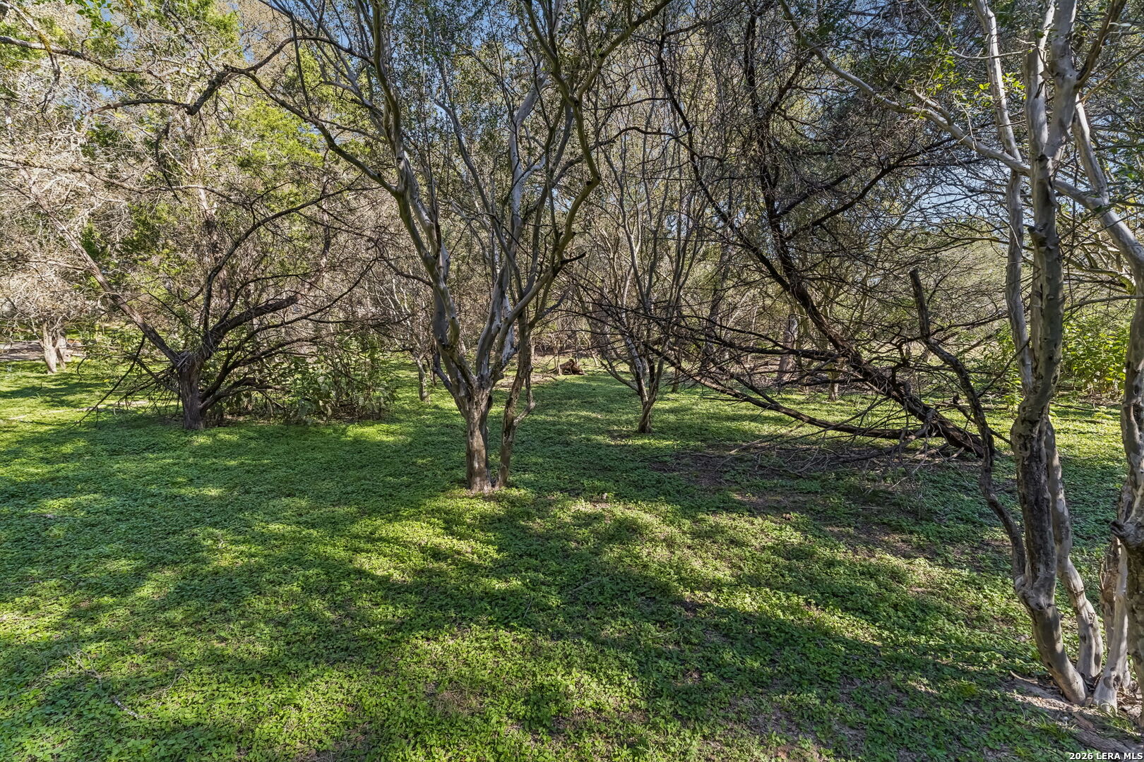 000 River Pt, Boerne, TX 78006