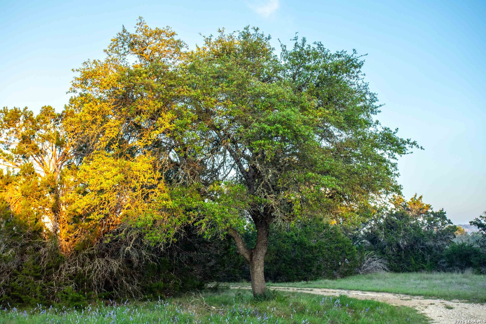 225 NW Lost Man Road, Mountain Home, TX 78058