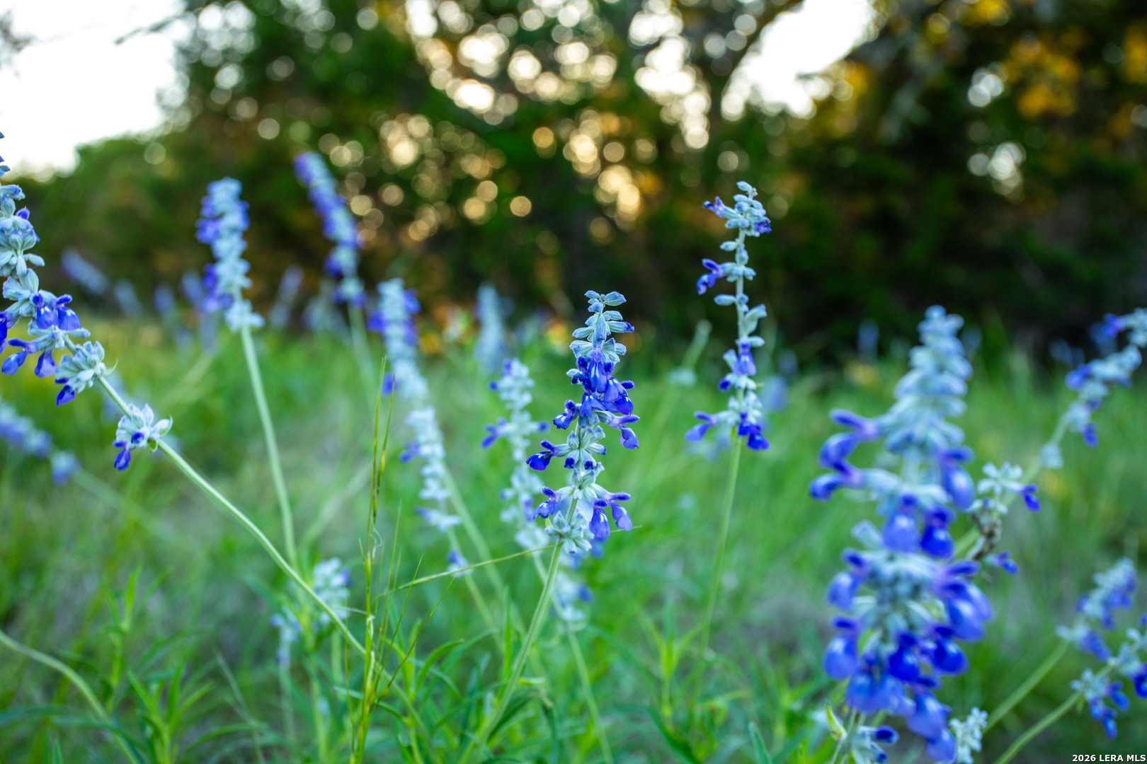 225 NW Lost Man Road, Mountain Home, TX 78058