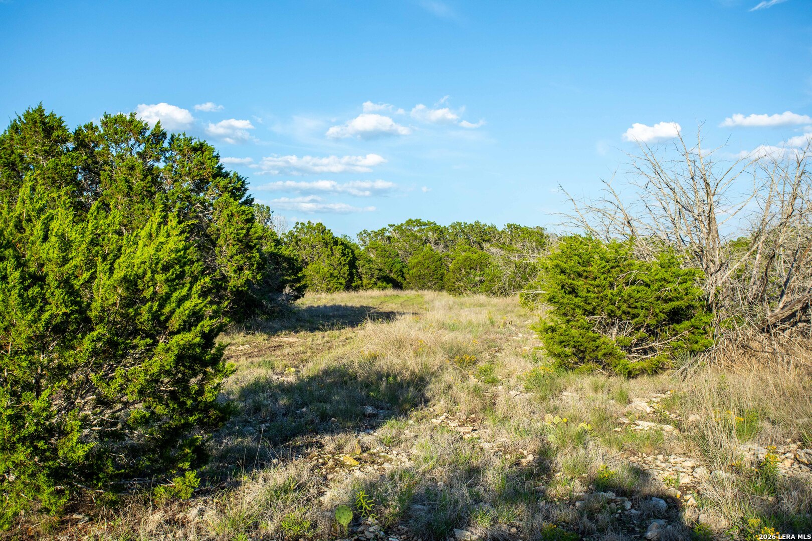 230 Camino Real, Junction, TX 76849