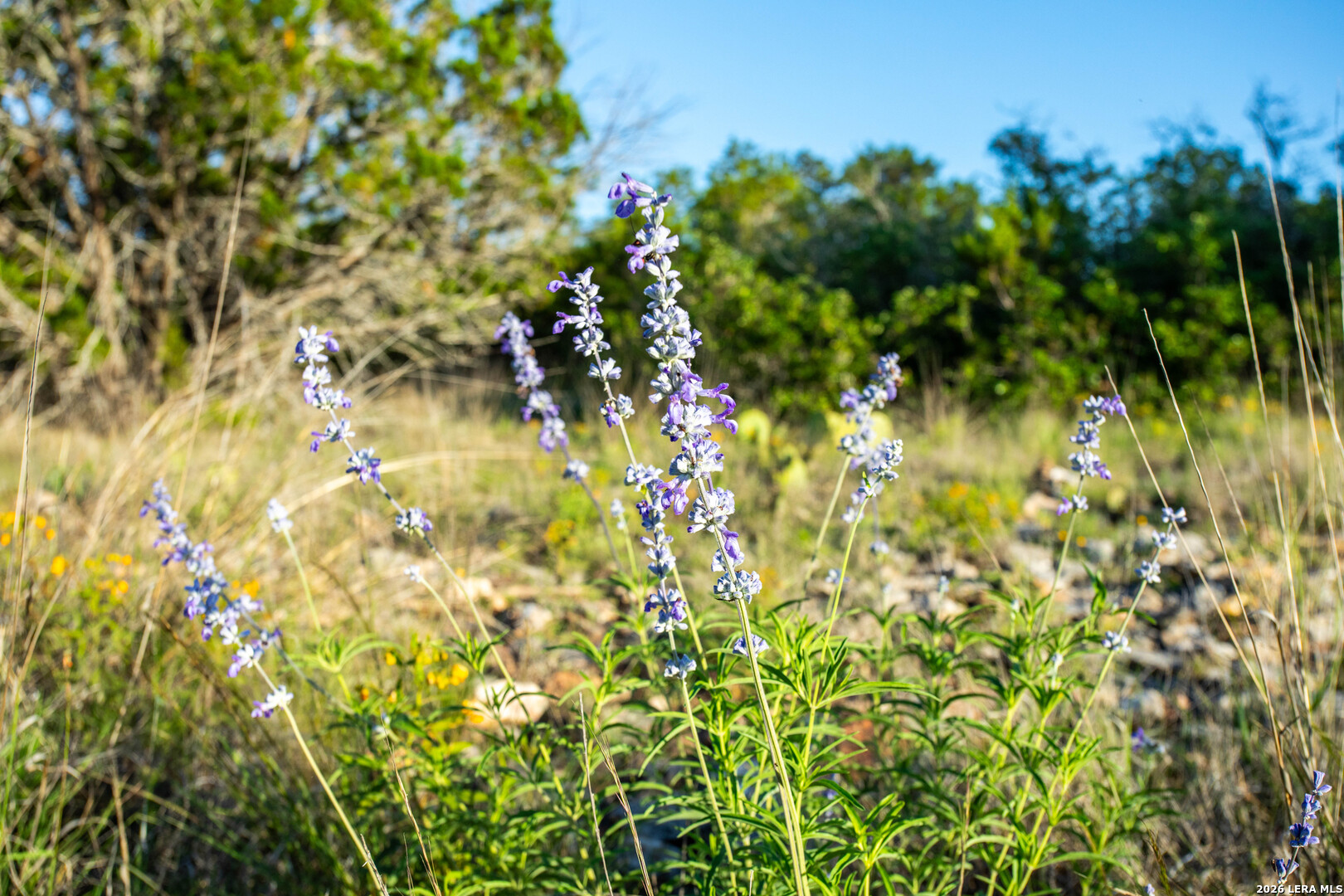230 Camino Real, Junction, TX 76849