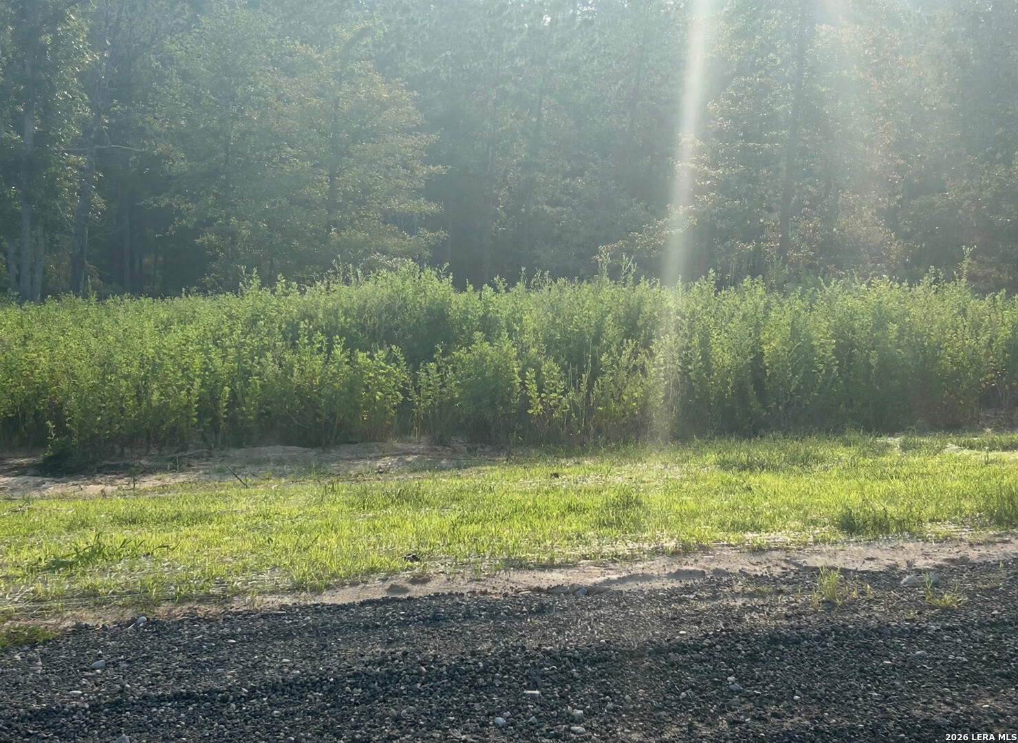 LOT 217 Ridge Lake Estates, Livingston, TX 77351