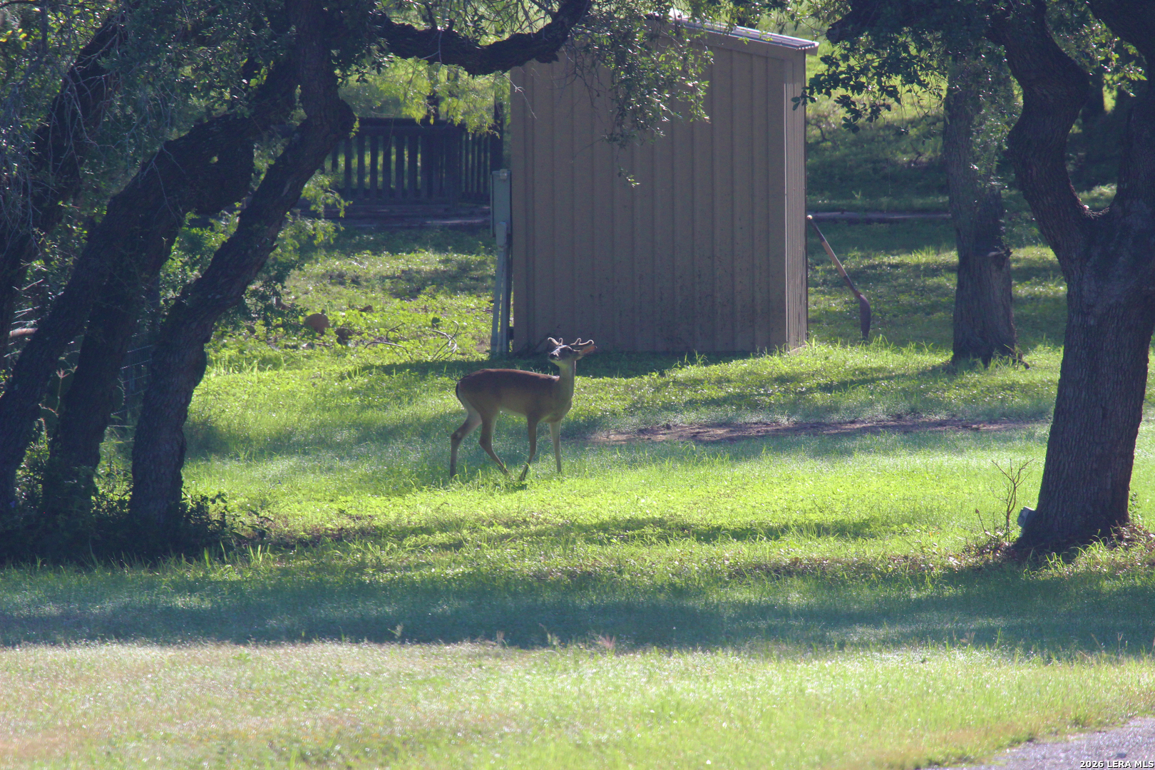 3202 Batesville Rd, Uvalde, TX 78801