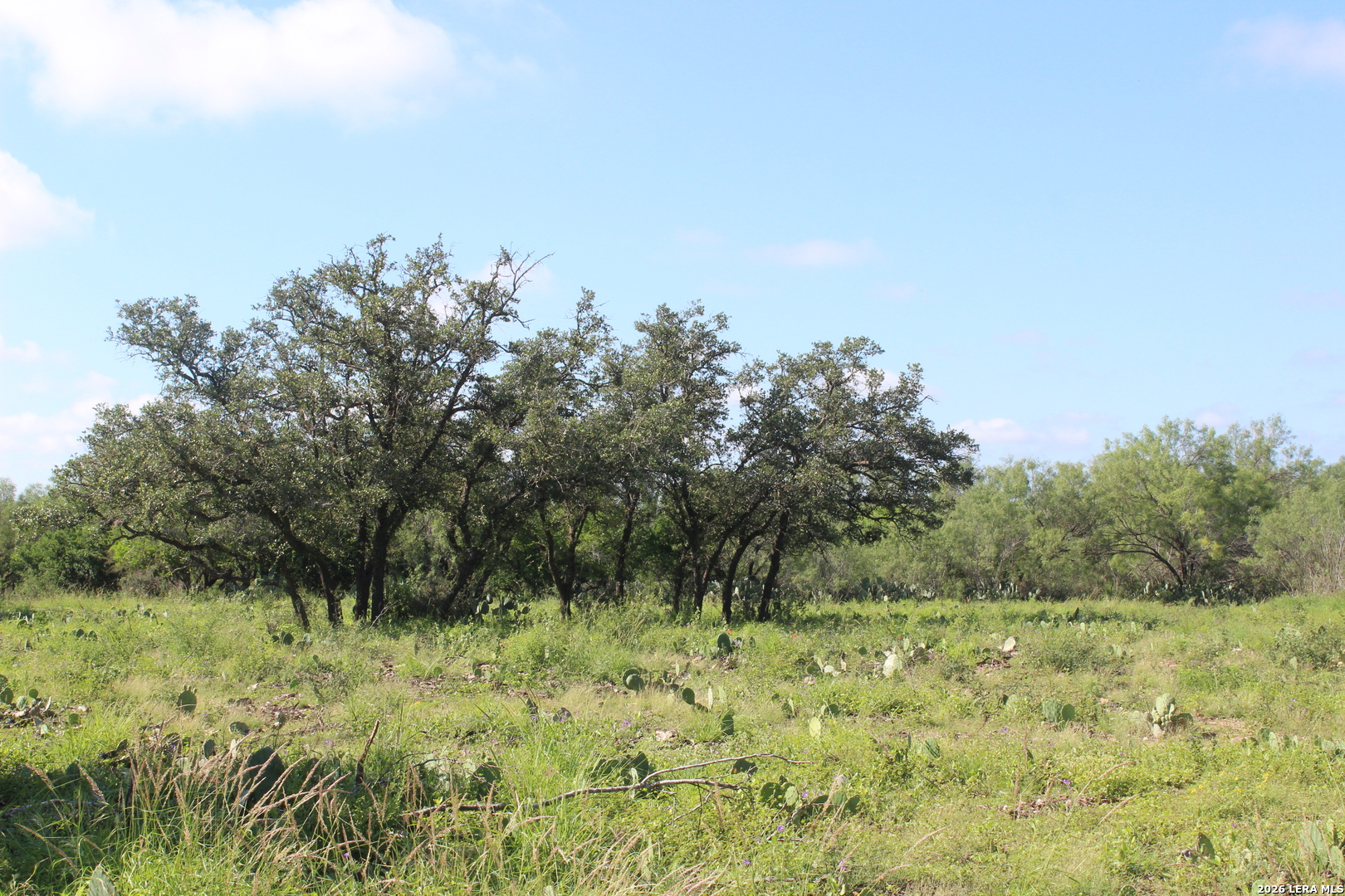 3202 Batesville Rd, Uvalde, TX 78801
