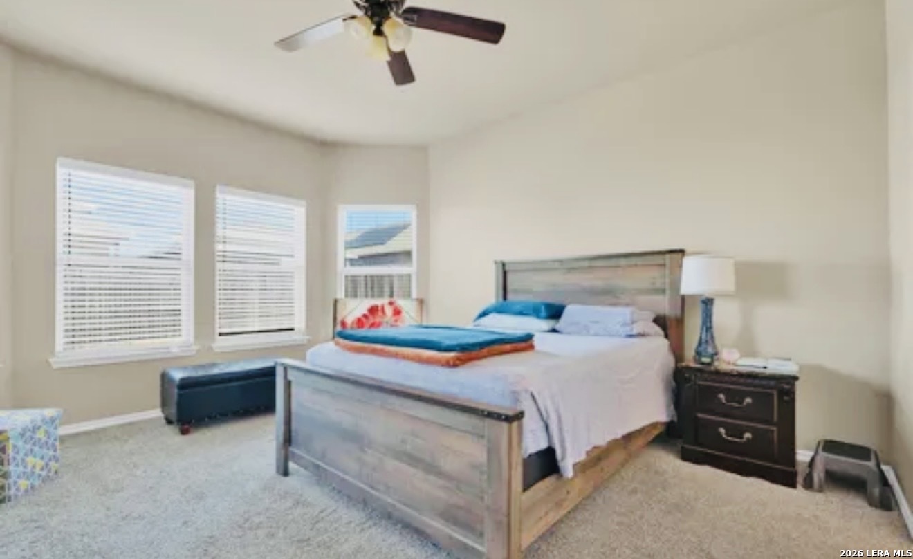 7307 Birch Stage, San Antonio, TX 78244