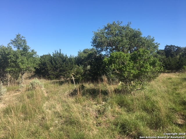 LOT 55 Scenic Hbr 2, Lakehills, TX 78063