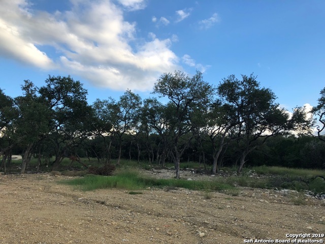 23531 OSCEOLA BLUFF, San Antonio, TX 78261