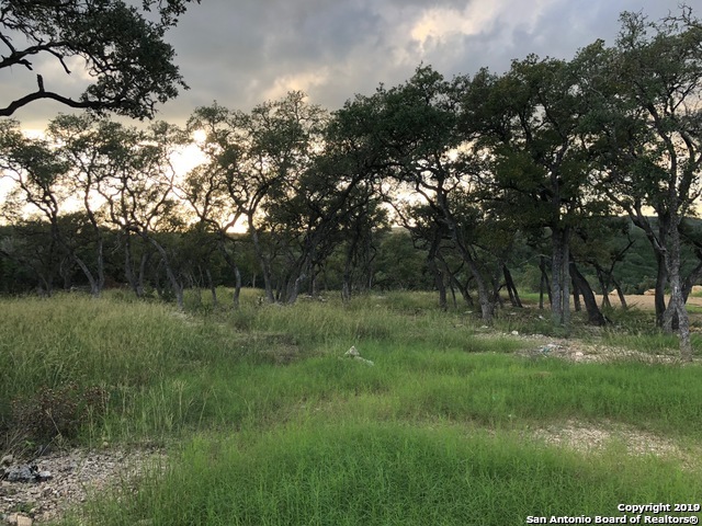 23531 OSCEOLA BLUFF, San Antonio, TX 78261