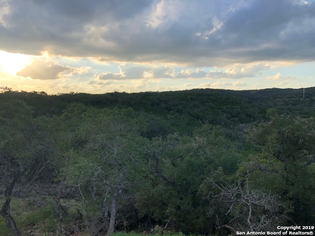 23531 OSCEOLA BLUFF, San Antonio, TX 78261