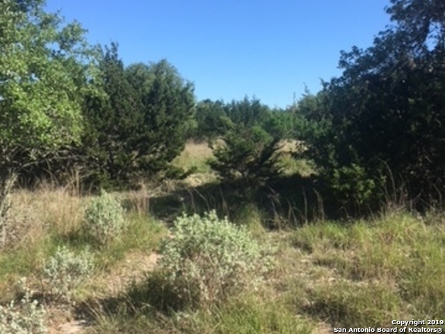 LOT 55 Scenic Hbr 2, Lakehills, TX 78063