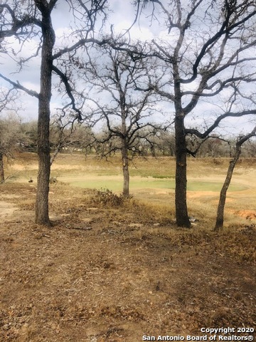 Homes for sale in TX | 173 Woodlands Dr,TX 78121 | MLS# 1433590