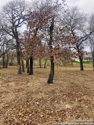 Homes for sale in TX | 173 Woodlands Dr,TX 78121 | MLS# 1433590