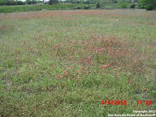 Homes for sale in La Vernia, TX | 184 Country Gardens, La Vernia, TX 78121 | MLS# 924086