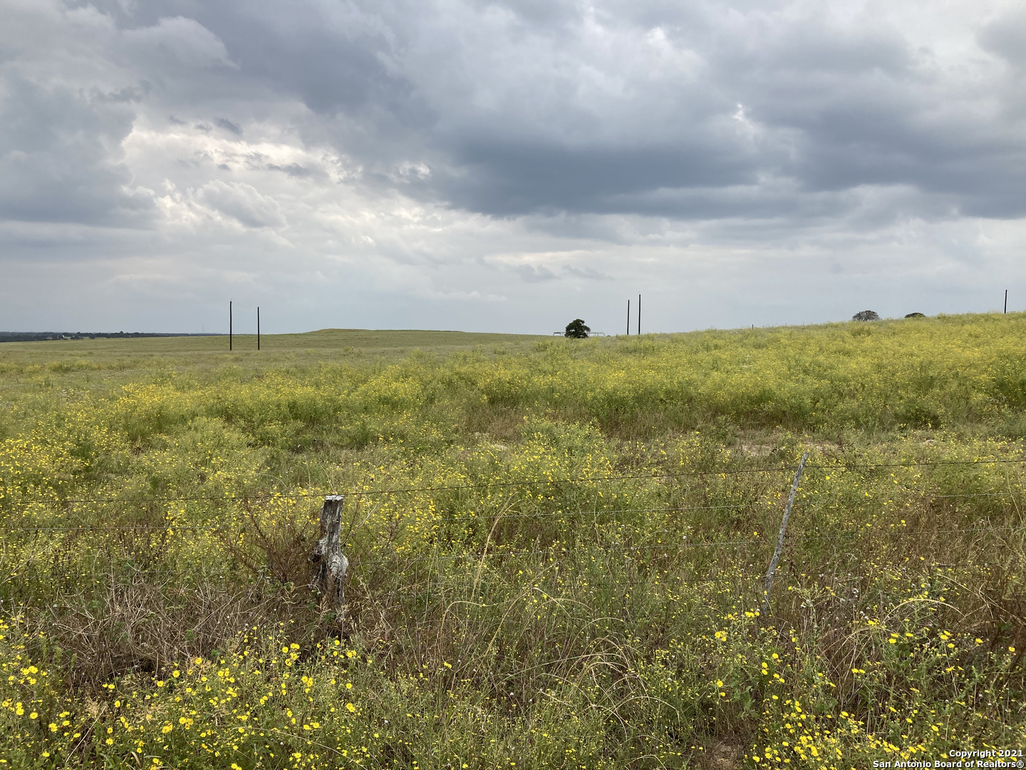 Homes for sale in TX | 152 Summer Mdw Dr,TX | MLS# 1567531