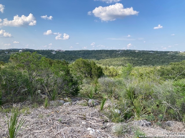 LOT 154 County Road 2729, Mico, TX 78056