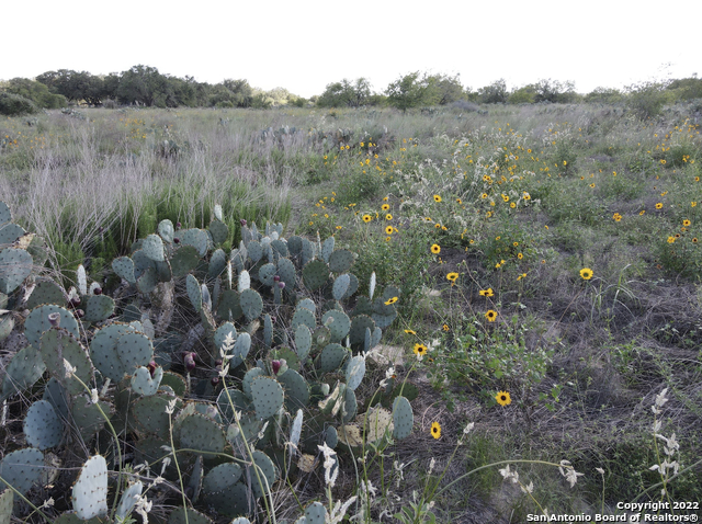 TBD TRACT 6 PR Two A Ln, Poteet, TX 78065