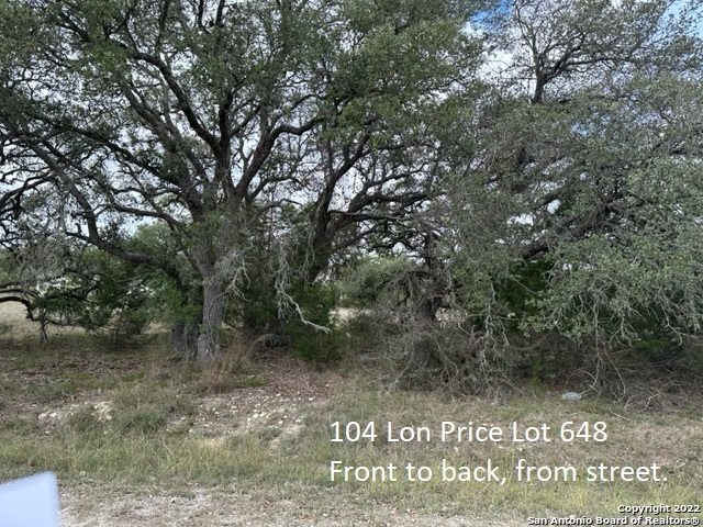Photo of 104 Lon Price in Blanco, TX