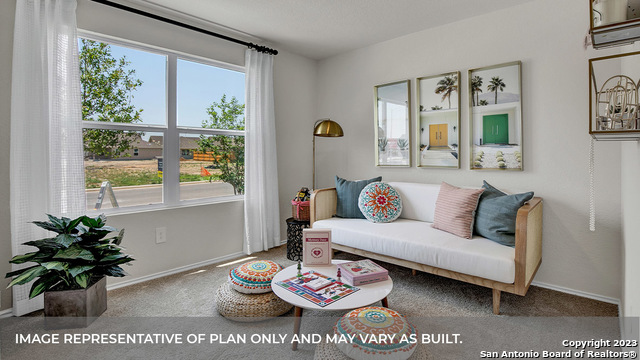 1000 SEEDLING LANE, Seguin, TX 78155