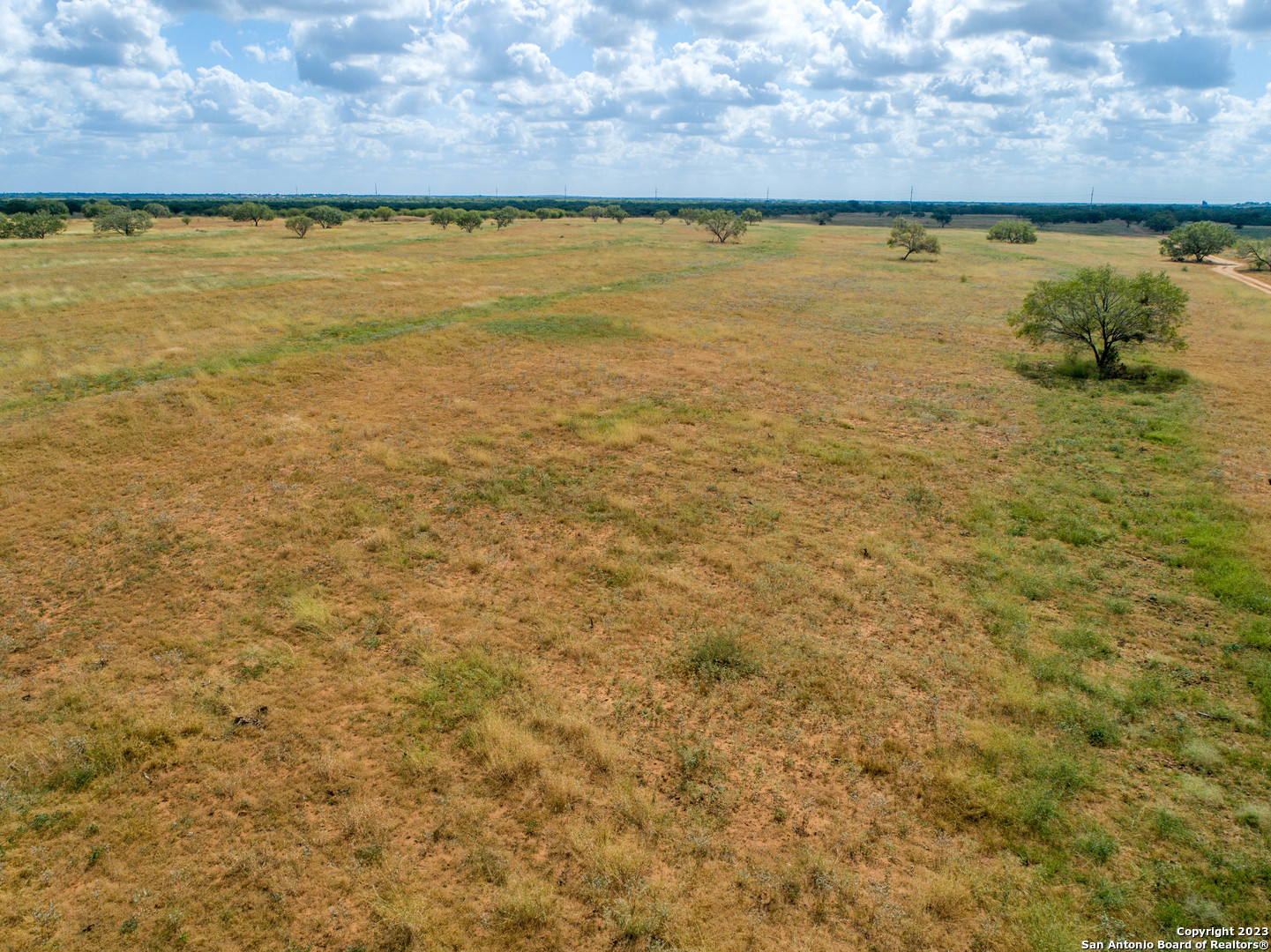 546 PR Goose Creek Ln, Jourdanton, TX 78026