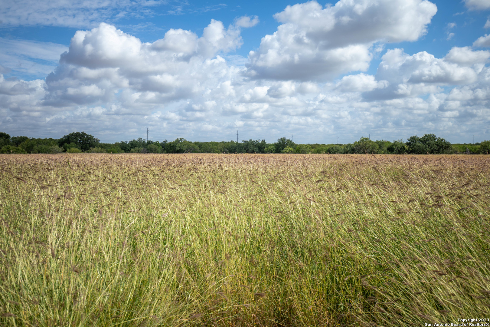 546 PR Goose Creek Ln, Jourdanton, TX 78026
