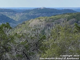 Photo of 224 Private Rd 1717 in Mico, TX