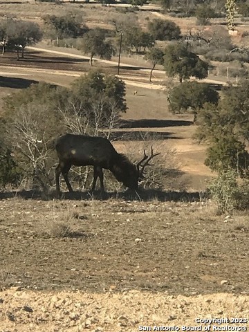 LOT 78 Oryx Trail, Pipe Creek, TX 78023