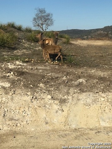 LOT 78 Oryx Trail, Pipe Creek, TX 78023