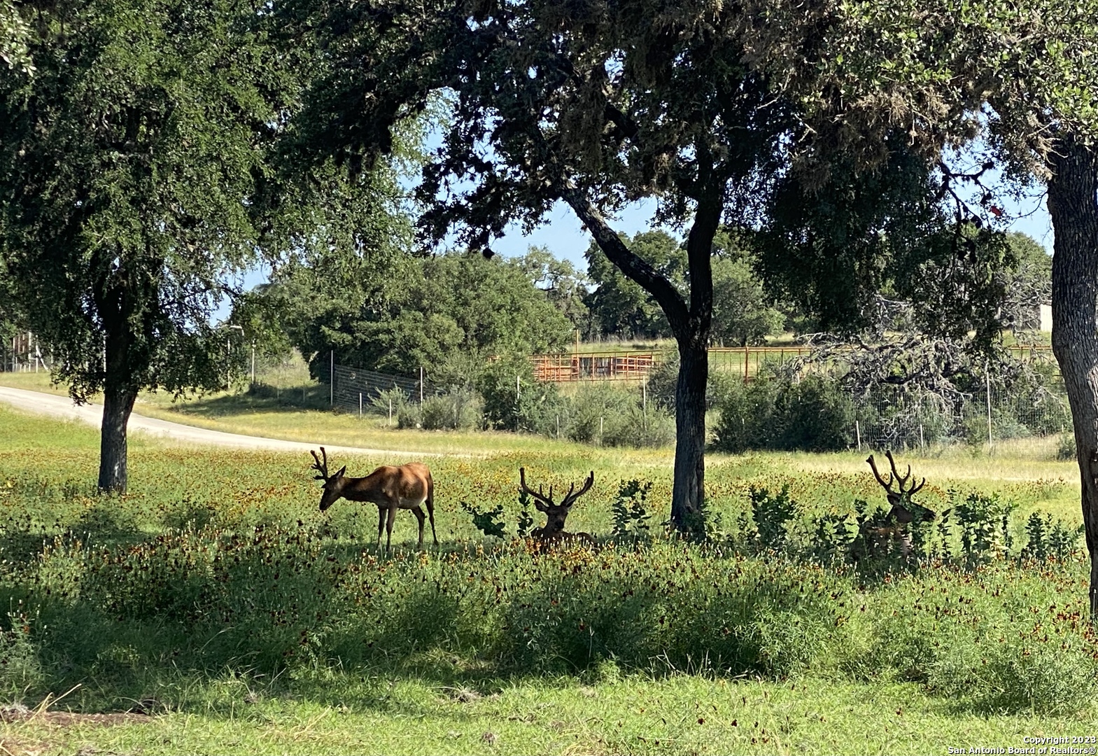 LOT 56 Red Stag Lane, Pipe Creek, TX 78063