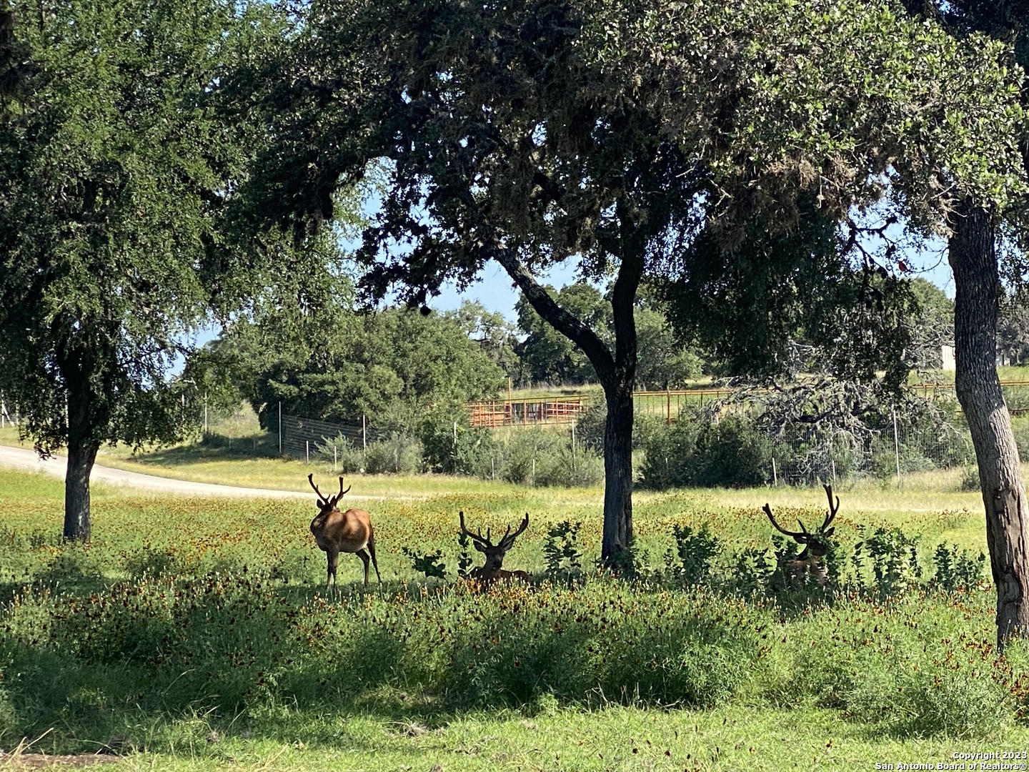 LOT 56 Red Stag Lane, Pipe Creek, TX 78063