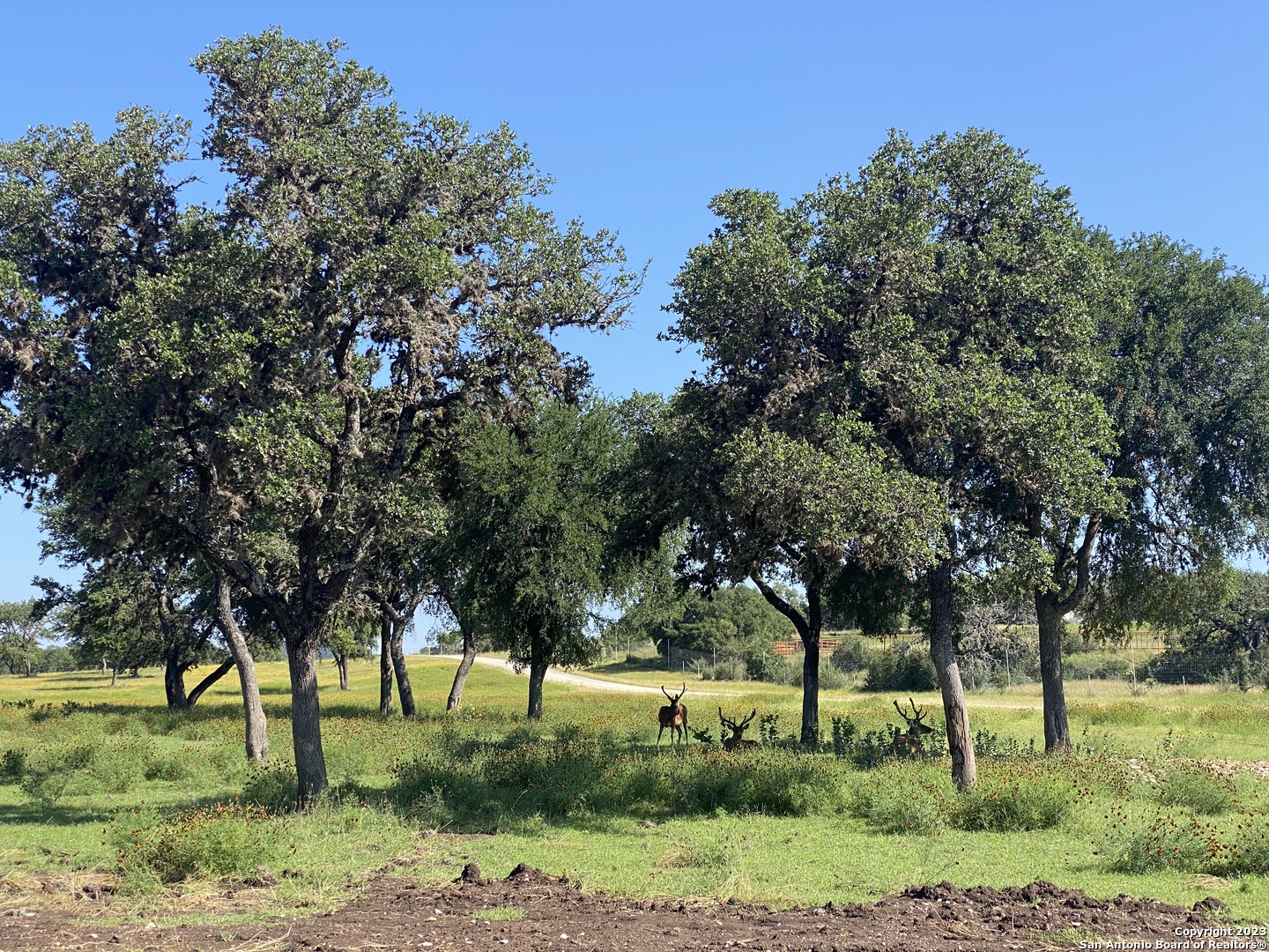 LOT 56 Red Stag Lane, Pipe Creek, TX 78063