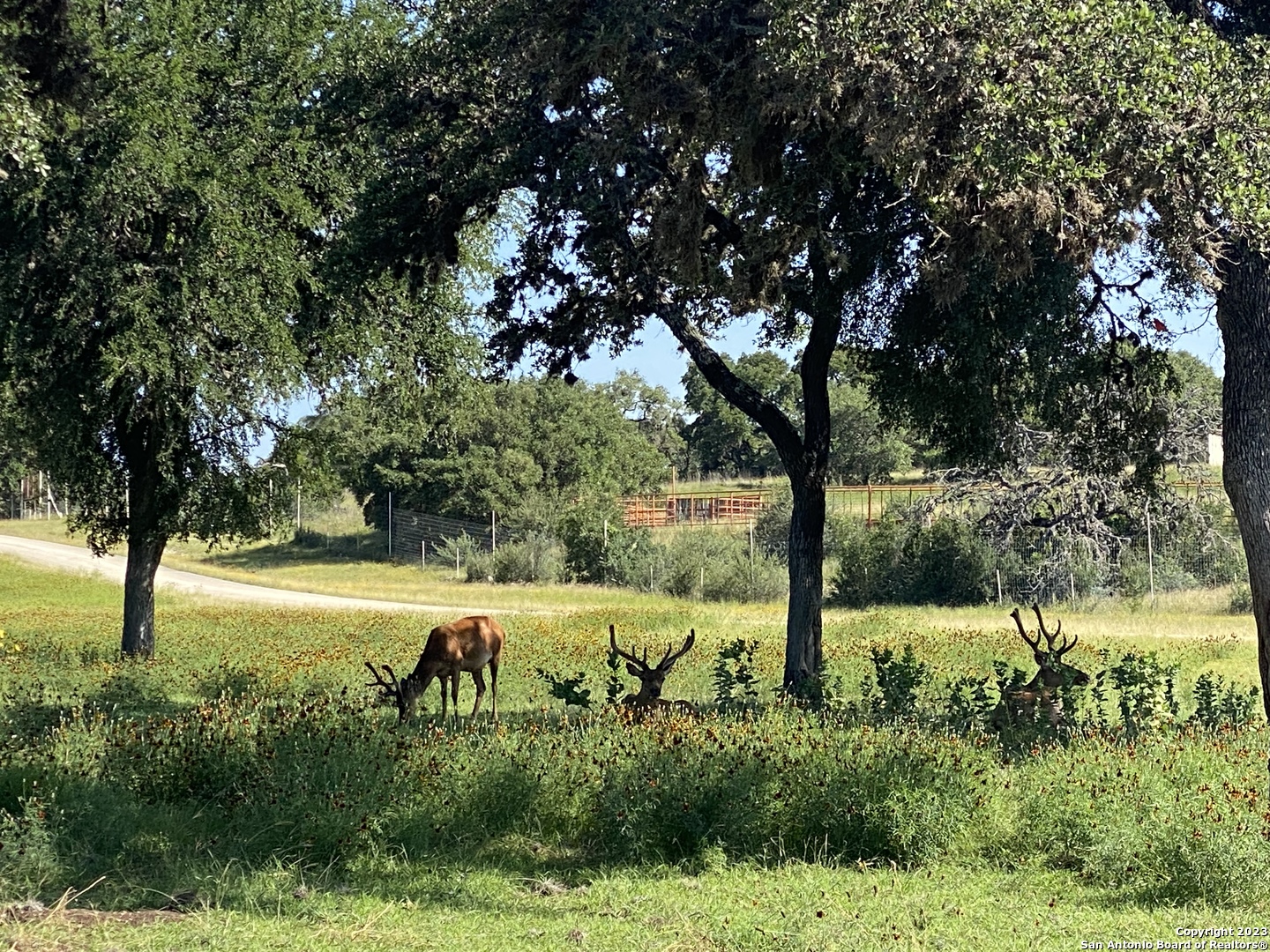 LOT 56 Red Stag Lane, Pipe Creek, TX 78063