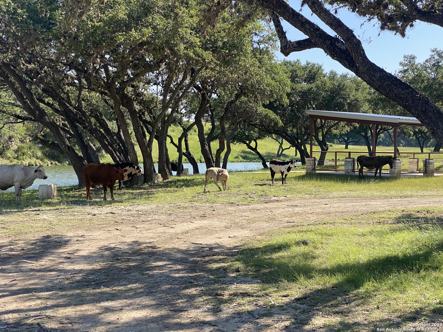Neighborhood Park