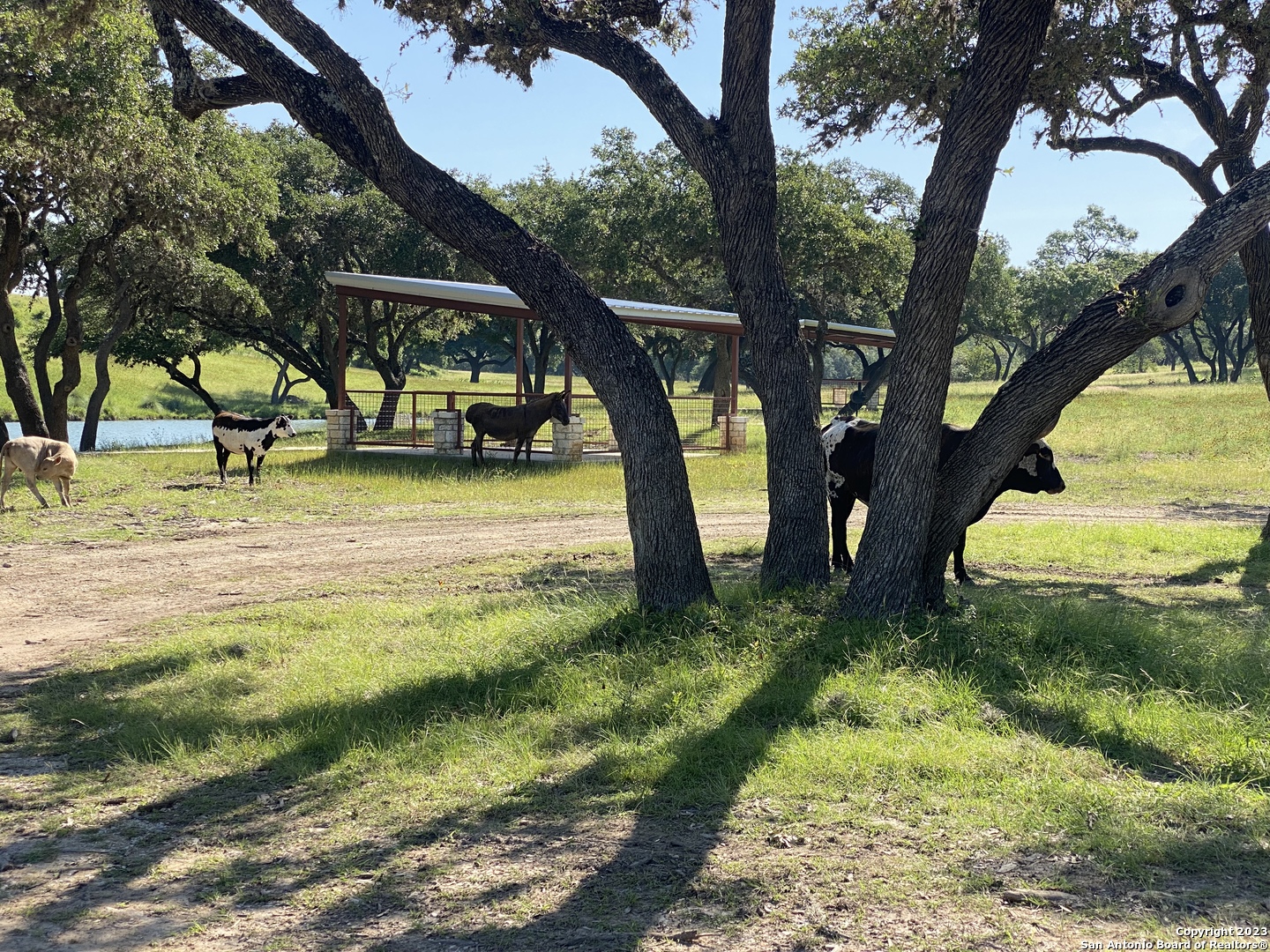Neighborhood Park